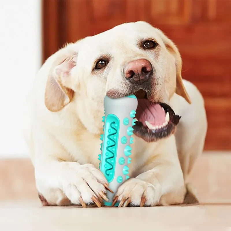 Brinquedo PET Canino - Limpeza e Fortalecimento da Dentição