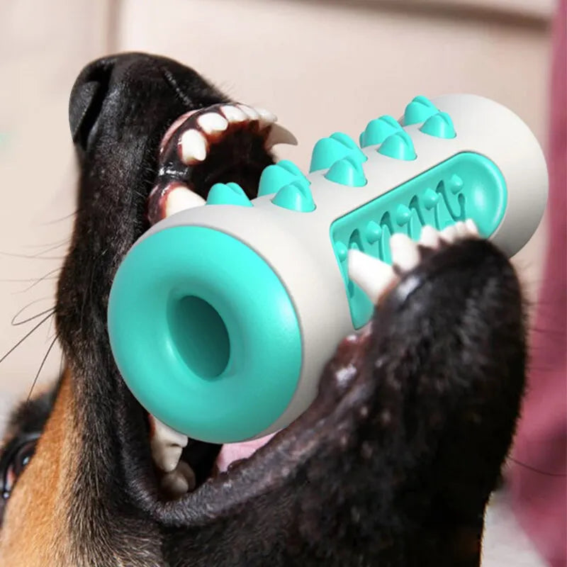 Brinquedo PET Canino - Limpeza e Fortalecimento da Dentição
